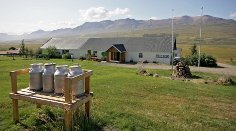Исландская кухня знаменита тем, что в состав блюд входят только экологически чистые продукты